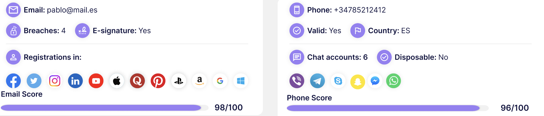 SocialScore profile digital footprint by platform